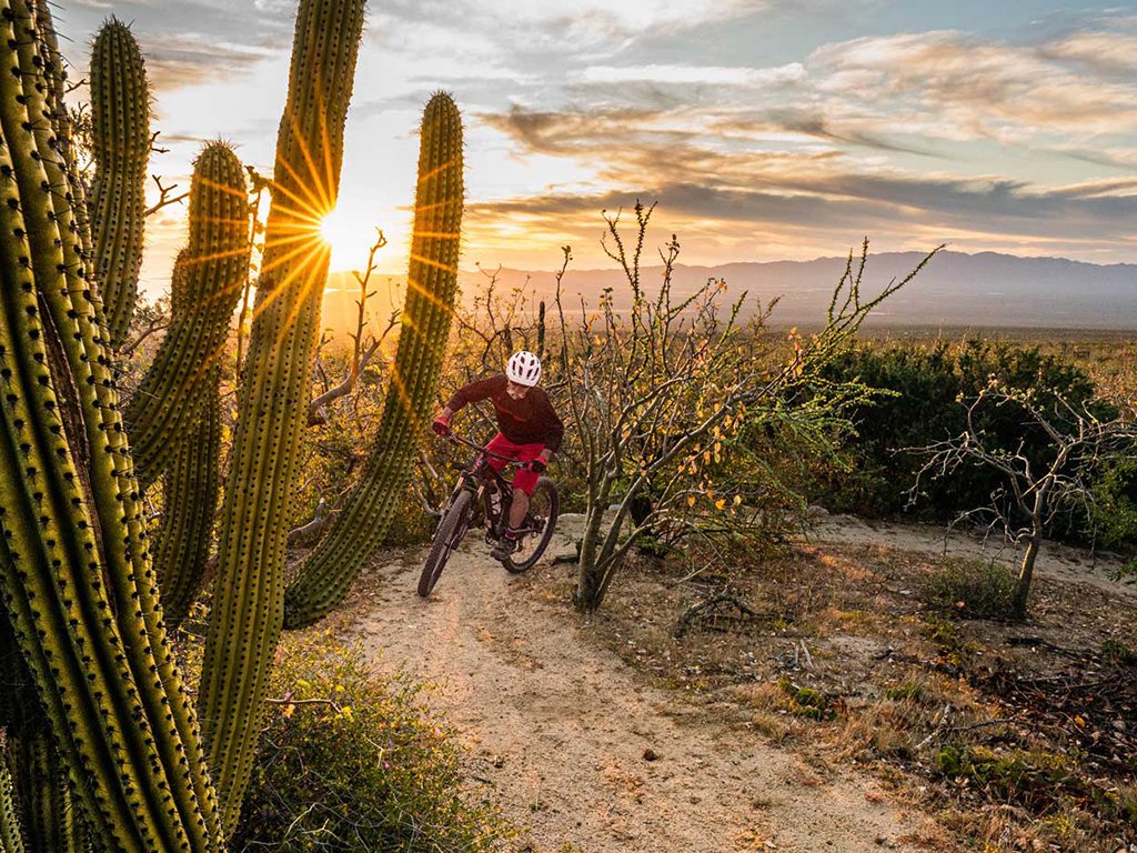 Bike Trails