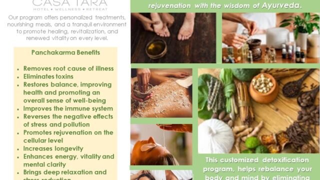 Ayurveda and Holistic Therapy at Casa Tara Wellness Retreat